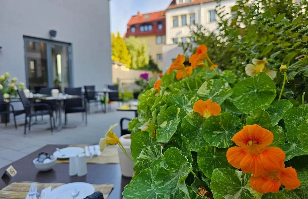 Hotel Am Kaisersaal-1